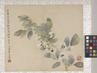 8-bladsalbum med blommor, mitten av 1700-talet (bläck och färg på papper)