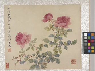 8-bladsalbum med blommor, mitten av 1700-talet (bläck och färg på papper)