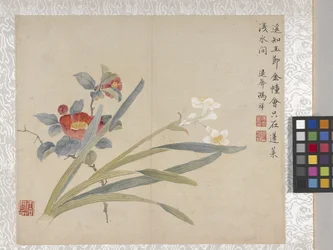 8-bladsalbum med blommor, mitten av 1700-talet (bläck och färg på papper)