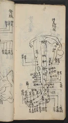 Akupunkturpunkter på benet, ur Jing Guan Qi Zhi, ”Akupunkturpunkternas och kanalernas början och slut”, utgiven i södra Kina, tidigt 1700-tal