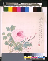 Album Of Flowers And Birds, okänt datum (tusch och färg på siden)