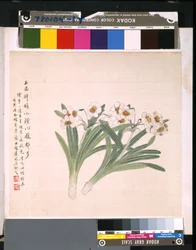 Album Of Flowers And Birds, okänt datum (tusch och färg på siden)