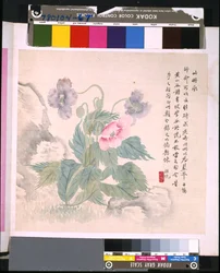 Album Of Flowers And Birds, okänt datum (tusch och färg på siden)