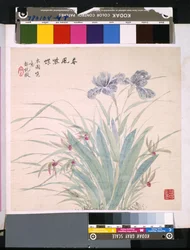 Album Of Flowers And Birds, okänt datum (tusch och färg på siden)