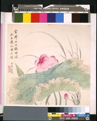 Album Of Flowers And Birds, okänt datum (tusch och färg på siden)