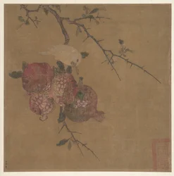 Pomegranates after Ma Lin (albumblad; tusch och färg på siden)