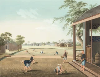 Teproduktion, ca 1820 (kroppsfärg och guldfärg på siden, nedlagd på papper)
