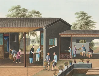 Teproduktion, ca 1820 (kroppsfärg och guldfärg på siden, nedlagd på papper)