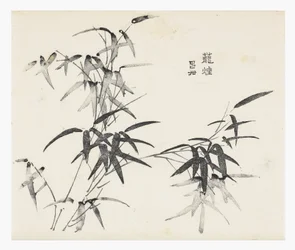 Tio Bamboo-serien
