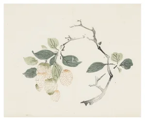 Tio Bamboo-serien