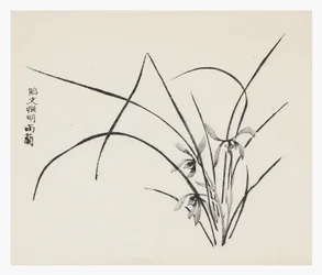 Tio Bamboo-serien