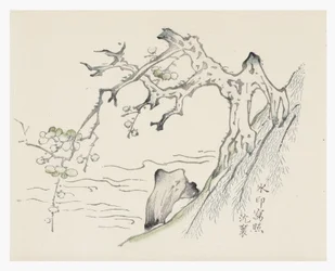 Tio Bamboo-serien