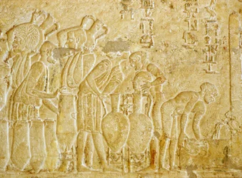 Forntida Egypten, Väggristning, Petosiris grav, 300 f.Kr., Tunael Gebel, Uppsamling och buteljering av vinet (foto)