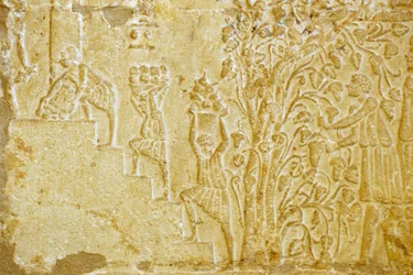 Forntida Egypten, Väggristning, Petosiris grav, Tuna el Gebel, 300 f.Kr, Bärande av druvor till vinpressen (foto)