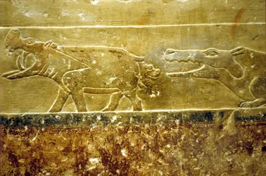Forntida Egypten, Väggsnideri/målning, Mastaba/Tomb of Idout, Saqqara, 6:e dynastin Flodhäst föder och faller offer för väntande krokodil (foto)