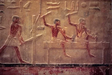 Forntida Egypten, Väggsnideri/målning, Mastaba/Tomb of Ti, Saqqara, 5:e dynastin, Snickare sågar och hamrar, Formning av balk (foto)