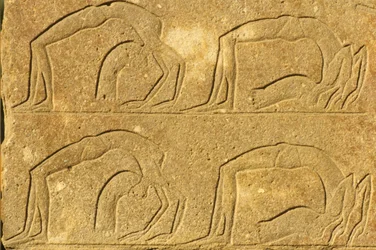 Forntida Egypten, Väggmålning/ristning, Kvinnliga akrobater uppträder, Karnak-templet, Luxor (foto)
