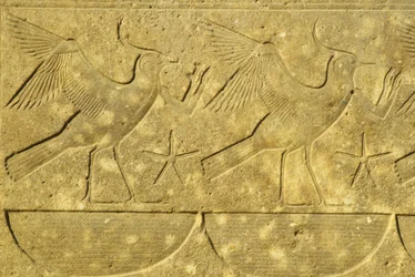 Forntida Egypten, Väggmålning/ristning, Lapwings, representerar de olika stammarna i Egypten, Karnak-templet, Luxor (foto)