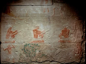 Forntida Egypten: kalkstensrelief föreställande skriftlärda från kapellet i Mastaba i Akhethetep, omkring 2300 f.Kr. 5:e dynasti. Gamla imperiet. Från Saqqara (Sakkara). Paris, Louvren