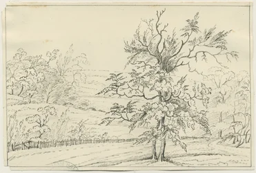 Cannock Chase: penn- och pennteckning, nd [?1800-talet] (teckning)