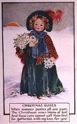 Julrosor