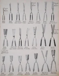 Hårlocktång, från en handelskatalog över inhemska varor och tillbehör, ca 1890-1910 (färg litho)