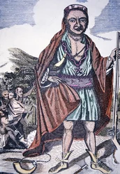 Metacomet (färg litho)