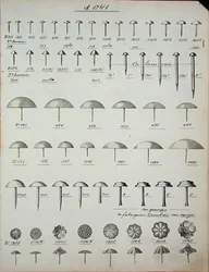Spikar, stift och stift, från en handelskatalog över inhemska varor och tillbehör, ca 1890-1910 (litho)