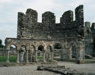 Mellifont Abbey ligger nära Drogheda