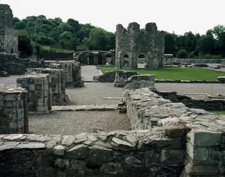 Mellifont Abbey ligger nära Drogheda