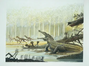 Rutiodon med Fabrosaurus i bakgrunden, Trias (färglitografi)
