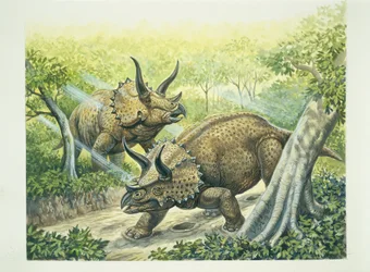 Triceratops horridus, kritaperiod (färg litho)