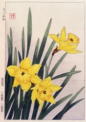Stäng Påskliljor - japanskt tryck