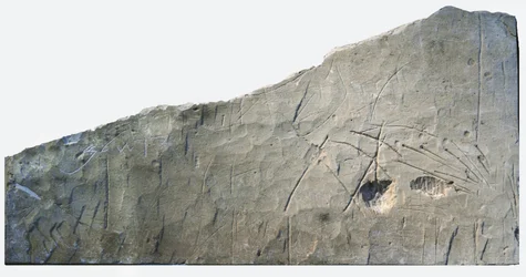 Hebreisk begravningsinskrift från Beth Loya, Judeans fot, Israel, 600-talet f.Kr. (sten)