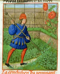 Harl 4425 f.184v Älskaren uppnår rosen, från 