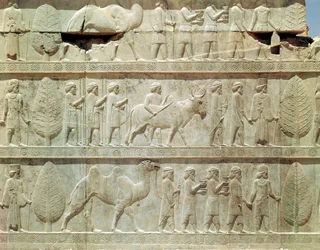 Detalj av relieffrisen på den östra trappan till Apadana (publikens sal) som visar delegater från imperiets undersökta länder med påkostade gåvor för en ceremoni, Achaemenian period, c.515 BC (kalksten)