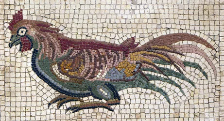 Flerfärgad tupp från marken till en romersk villa i Tunisien (mosaik)