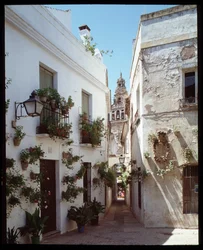 Utsikt över minareten (klocktornet) i Omayyades stora moské (Mezquita), nu katedralen, från Calle de los flores”””, Cordoba Spanien”” (Utsikt över klocktornet eller minareten i Mosqueðkatedralen (den stora moskén) i Cordoba från gatan "" calle de los flore