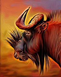 Svart gnu, 2021
