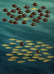 Fisk, 2010 (skrapkartong, färglagd digitalt)