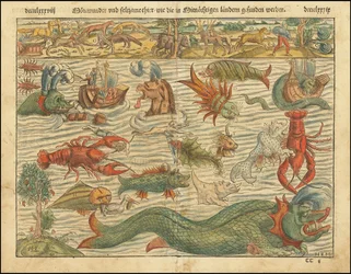 1570 års utgåva av Sebastian Münsters karta över havsmonster