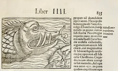 Monstruös val som slukar människor, från 1550 års upplaga av 