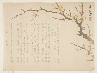 Blommande plommon, januari 1837 (träblock i färg)