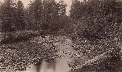 Marion River vid Bassett