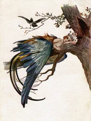 Litteratur. Sagor. Den blå fågeln. Illustration av J. Solomko, Tjeckien