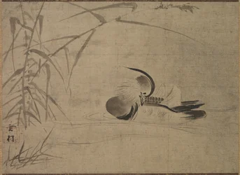 Mandarin Anka, 1500-tal.