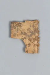 Fragment of Divining Bone (skal)