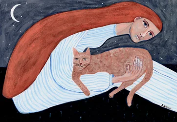 Drömmande katt – nattlig omfamning