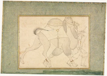 Kamel och kamelförare, illustration på en enskild sida, ca 1545-1576.