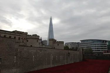 Blood Swept Lands and Seas of Red, Tower of London, 2014.
